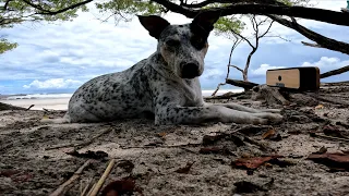 RAW POV - SURFING PLAYA BARRIGONA, COSTA RICA