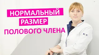 Нормальный размер полового члена. Медицинские факты.