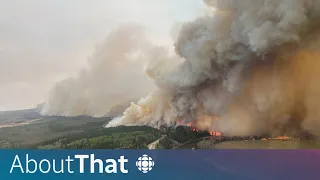 Will Alberta's unprecedented wildfires become the new normal? | About That