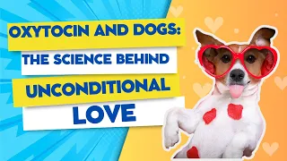 Dogs Unconditional LOVE Explained - LOVE HORMONE