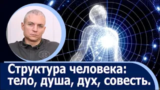 Структура человека: тело, душа, дух, совесть