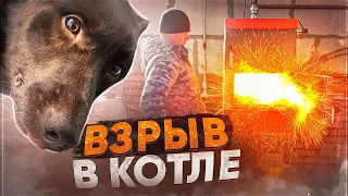 ПОТЕРЯЛ СВИНОМАТКУ ВЕСОМ 300 кг!  ЧЕРНЫШУ ВЫНУЛИ  СПИЦЫ ИЗ ЛАПЫ! БУДЕТ ПРЫГАТЬ