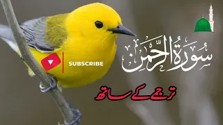 Surah Rehman Tarjuma ke Sath | Qari Al Shaikh Abdul Basit Abdul Samad | islamic Edits