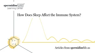 Effect of Sleep On Immune System | How Does Sleep Affect the Immune System? |