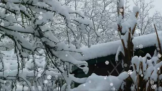 Tuyết Rơi” (“Tombe La Neige” )&NGOC LAN&HHH