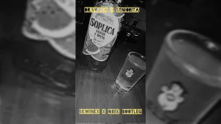 Dr.Vodka - SENIORITA (200h) (SKWINEX X QBEQ BOOTLEG)
