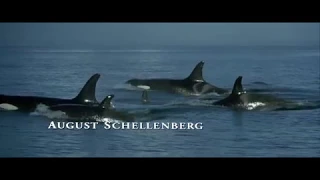 01. Main Titles (Free Willy 2 / 1995) Soundtrack