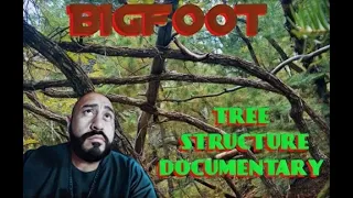 BIGFOOT TREE STRUCTURE Documentary 2021