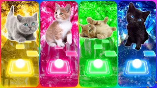 CUTE CATS - LADY GAGA BLOODY MARY - WAKA WAKA - BTS SAVAGE LOVE - IMAGINA DRAGONS TILES HOP EDM RUSH