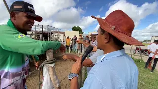 FEIRA DO GADO EM TAPERA