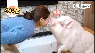 Pig Who Loves Her Guardian SO MUCH