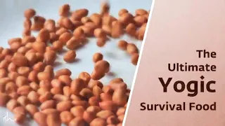 The Ultimate Survival Diet – The Yogic Superfood