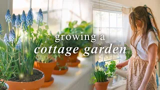 Growing My Dream Windowsill Garden 🪴 Small Space Indoor Cottage Window Garden