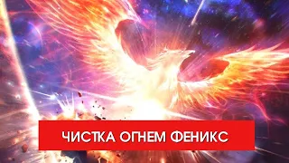 Чистка огнем. Портал РАВНОДЕНСТВИЯ. Птица Феникс. Медитация Нового Времени