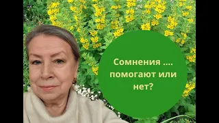 СОМНЕНИЯ   помогают  или мешают?