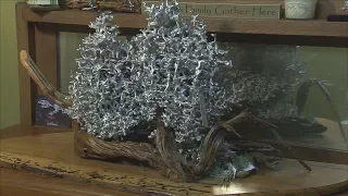 Anthill Sculptures (Texas Country Reporter)