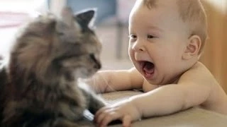 Babies Laughing at Funny Pets - Baby Laughing at Funniest Animals Compilation 2014