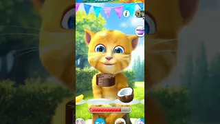 Talking Ginger 2 🐈 🍰🍌🍆🥑🍍🌽🥕#shorts #gaming #mobilegame #talkingginger #funny #talkingtom #viral #cat