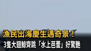 漁民出海慶生遇奇景！　3隻大翅鯨齊跳「水上芭蕾」好驚艷－民視新聞