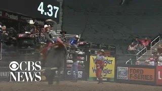 Bull rider dies after being stomped in Denver competition