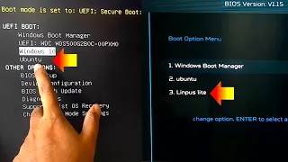 How to Delete UEFI Boot option from BIOS Boot Manager in Windows 11, 10