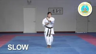 Niseishi - International Hayashi-Ha Shito-Ryu