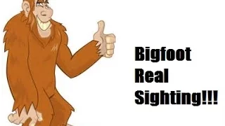 Bigfoot Real Sighting!!!