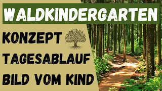 WALDKINDERGARTEN - Was ist das? Naturpädagogik und Waldpädagogik | ERZIEHERKANAL