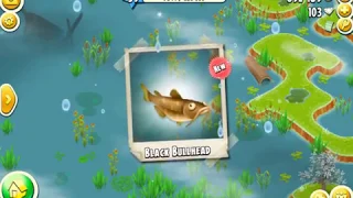 Hay Day - Learn to Catch Black Bullhead