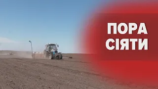 🚜Аграрії рік чекали розмінування полів: як на Черкащині стартувала весняна посівна-2023