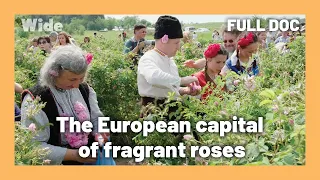The art of perfumery: Bulgaria’s Rose Valley | WIDE
