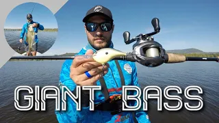 Catching GIANT BASS with Deep Diving Crankbaits during FALL at Albert Falls, South Africa