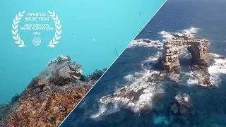 Above & Below Galápagos – Trailer