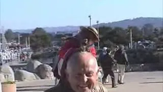 Monkey Having Fun at Fisherman's Wharf in Monterey, California