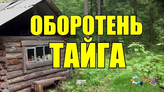 ДЕРЕВНЯ В ГЛУХОЙ ТАЙГЕ  ДЕД И ОБОРОТЕНЬ  ЖИЗНЬ В ЛЕСУ