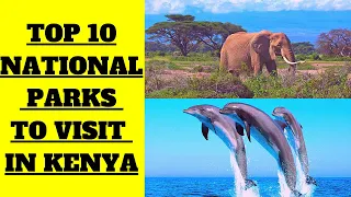 🇰🇪 Top 10 National Parks to Visit in Kenya (They're Amazing)