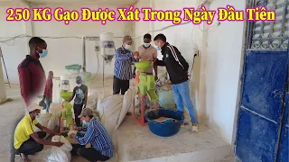 Linh Philip || Gần 3 Tạ Gạo Thành Phẩm Được Xát Trong Ngày Đầu Tiên !!!