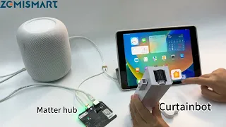 Zemismart Matter Hub Make Tuya Zigbee Devices Work With Homekit Demo!