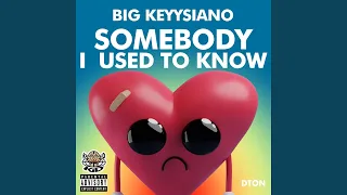 Somebody I Used To Know