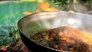 Chicken Breast with Boletus Mushroom Sauce feat. Mr. Ramsay the Owl