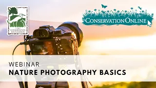 Nature Photography Basics | Webinar