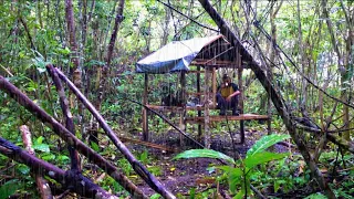 Solo camping heavy rain |  making shelters from remaining illegal logging wood