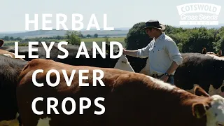 Herbal Leys and cover crops with George Hosier