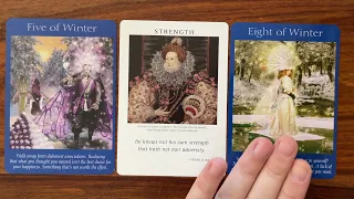 How to retrain your thinking 26 July 2022 Your Daily Tarot Reading with Gregory Scott