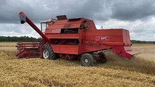 Bizon Gigant Z060 Koszenie Pszenicy! Rolnik Łukasz