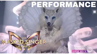 Snow Fox sings "Castles" by Freya Ridings | The Masked Singer Australia | Season 5