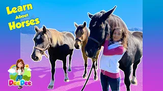 Learn About Horses | Animals for Kids | Educational Videos