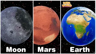 Solar System | Planet Sizes Comparison Video | 3D 2023 | Data World