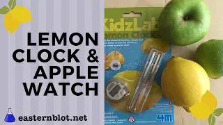 DIY Lemon Battery Science & "Apple Watch"