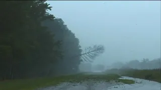 Hurricane Isabel hits Virginia: 20 Years Later